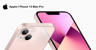 2. Iphone 13 Pro Max - at unbelievable price. 